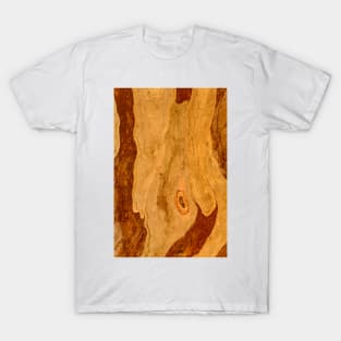 Bark Map 01 T-Shirt